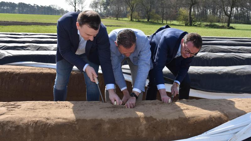 Steven Matheï (Burgemeester Peer), Lode Ceyssens (Vlaams volksvertegenwoordiger) & Wouter Beke (Partijvoorzitter CD&V) (vlnr) voerden dinsdag de symbolische eerste steek van asperges uit bij aspergeteler Sooi Bries.