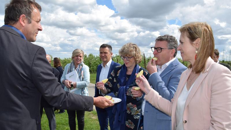 Dany Bylemans, directeur van pcfruit, laat een van de veelbelovende appelrassen Morgana proeven aan het gezelschap.