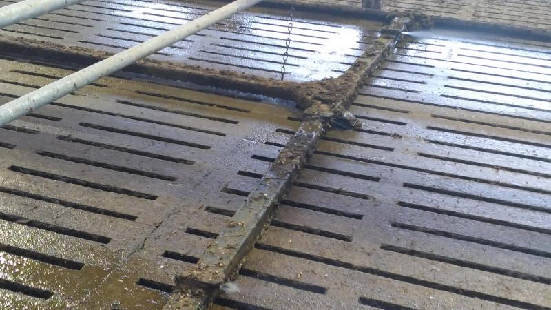 Om ziekteoverdracht tussen de groepen dieren te vermijden gebruik je dezelfde mestrobot of mestschuif best niet in de koeienstal én in de jongveestal.