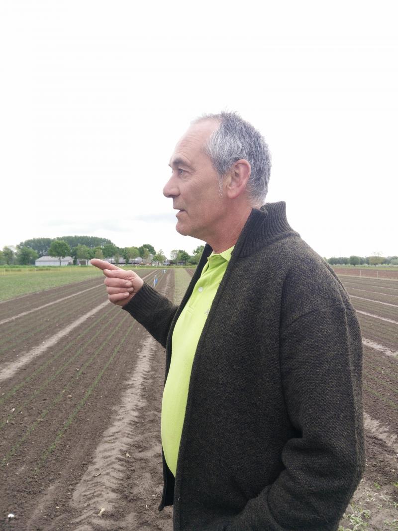 Als je groenten wil verkopen, moet je de wens van de consument eerbiedigen, vindt Frank Schelfhout van Agrico in Bornem. “Wil die blauwe bloemkolen, dan telen wij die.”