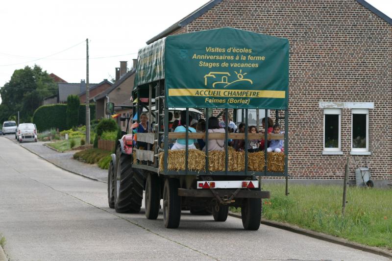 Na een rijkgevulde voormiddag bij de dieren, is er plaats voor de huifkar om op ontdekking te gaan langs de teelten en de boomgaarden.