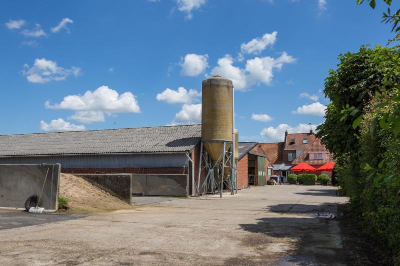 Het Boerenijsje combineert een melkveehouderij met 85 koeien met een ijsmakerij.
