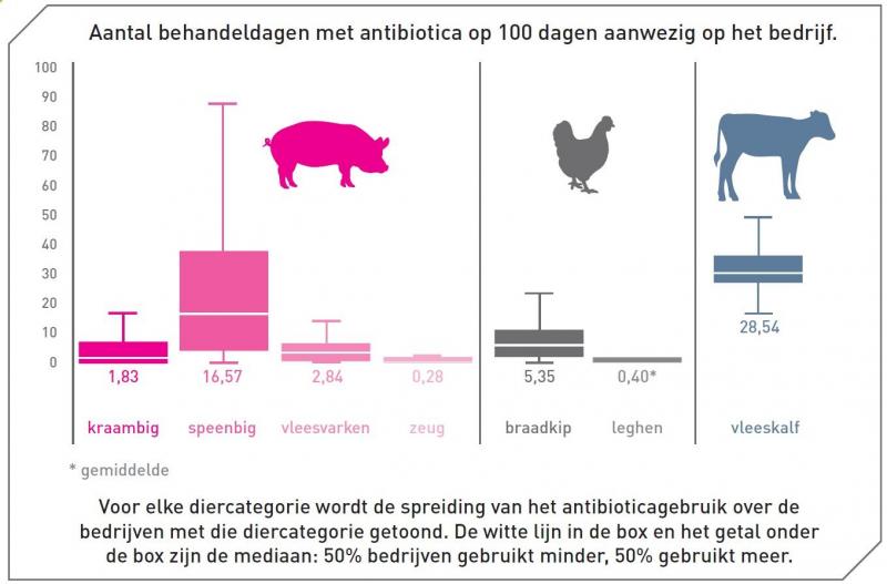Figuur 2: Het gebruik van antibiotica verschilt tussen de deelsectoren en tussen de onderlinge bedrijven.
