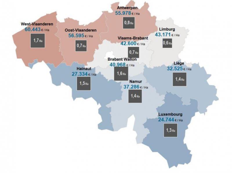 Grafiek: Overzichtskaart gemiddelde prijs per hectare en gemiddelde oppervlakte voor landbouwgrond in elk van de provincies (YTD 2019)