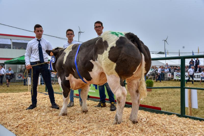 Elite de Beauraing (Pivert x Noceur), eerste prijs vaarzen tussen 12 en 32 maanden. Eig.: Baudoin Xavier en zoon, Beauraing.