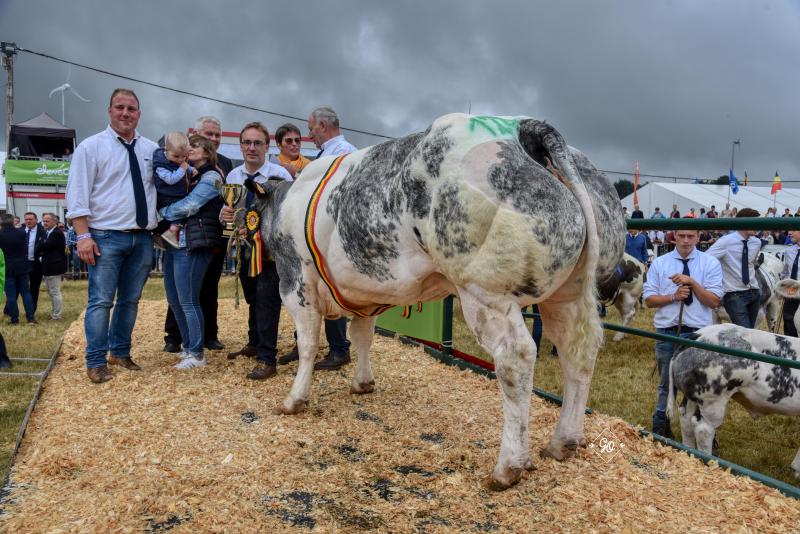 Intacte ET du Pouhon (Grommit x Shériff), kampioene oudere vaarzen en eerste kalfskoeien. Eig.: Jean-Marie en Jean-Philippe George en Jean-François Warnant, Clavier.