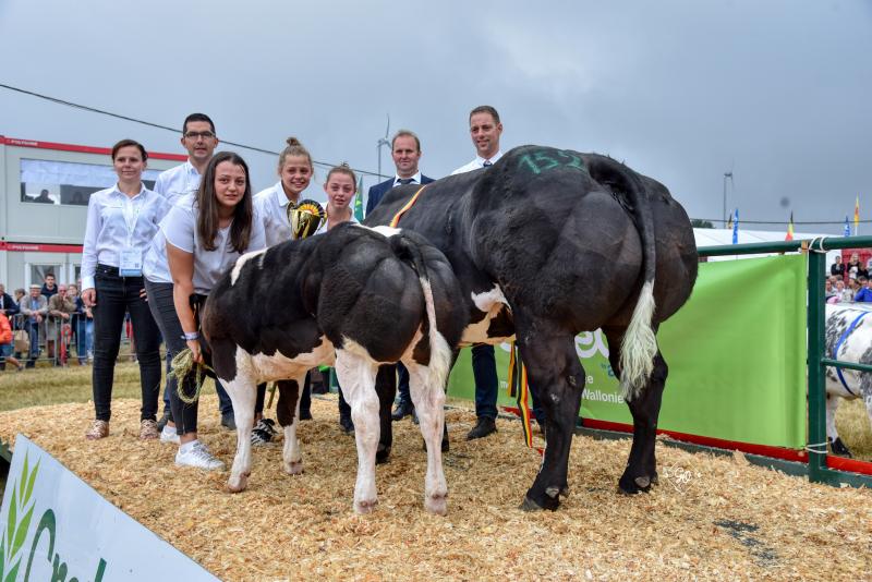 Vipère de Remichampagne (Jubilaire x Impérial), met Champagne de Remichampagne (Vidal), kampioene koeien met afstammelingen, Eig.: Christiane Nicks en Christophe Materne, Vaux-sur-Sûre.