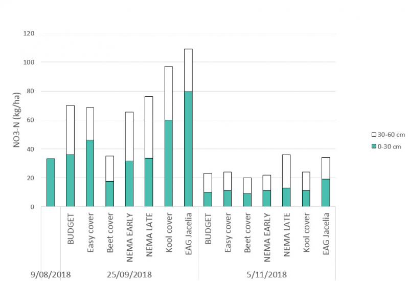 Figuur 3: 9/8: N-residu voor aanleg; 25/9: mengsels met gele mosterd die een snelle start namen, hebben de beste score voor N-opname; 5/11: ook de mengsels met een tragere start zijn goed ontwikkeld met een goede N-opname uit de bodem.