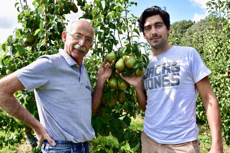 Naast de aardappelteelt is er wat ruimte voor kleinschalige perenteelt.