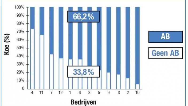 Figuur 1. In de studie op 12 Vlaamse melkveebedrijven werd gemiddeld 33,8% van de koeien zonder antibiotica drooggezet, met een grote variatie tussen de bedrijven van 6,3 tot 73,9%.