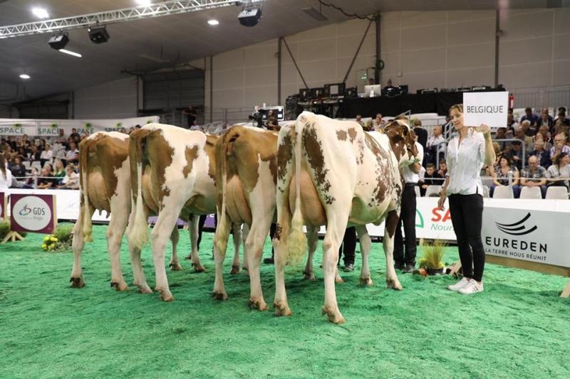 België eindigde tweede in de groepencompetitie.