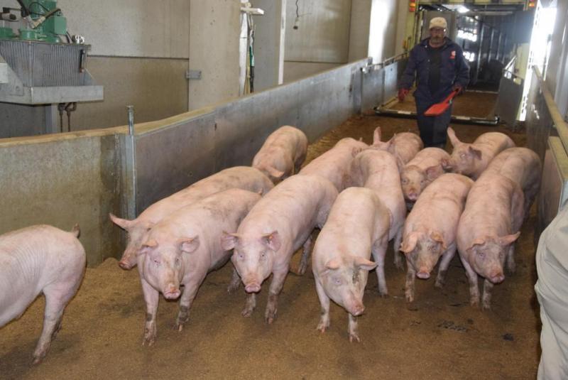 China is echter geen evidente exportmarkt en blijft voorlopig gesloten voor onder andere Belgisch vlees.