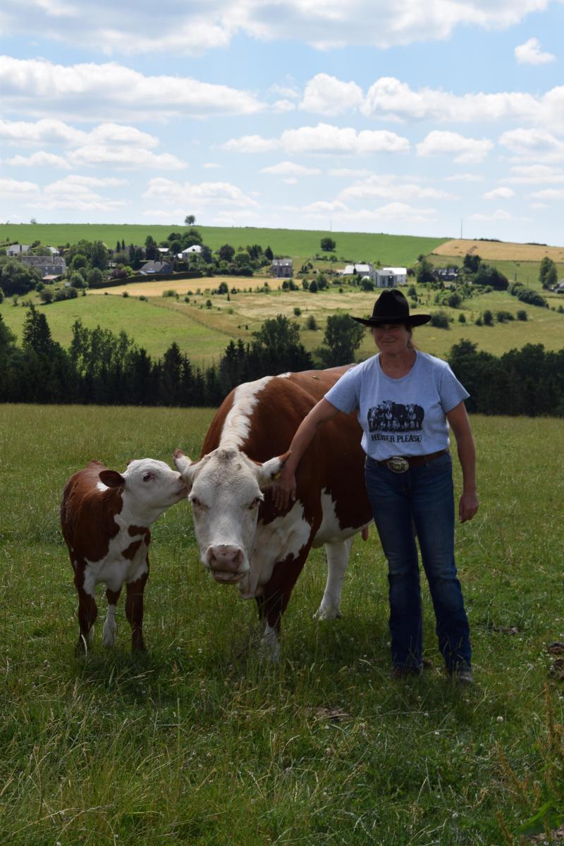 De runderen van Laurence zijn ingeschreven in het Franse Hereford stamboek, want in ons land is er geen stamboek voor dit ras.