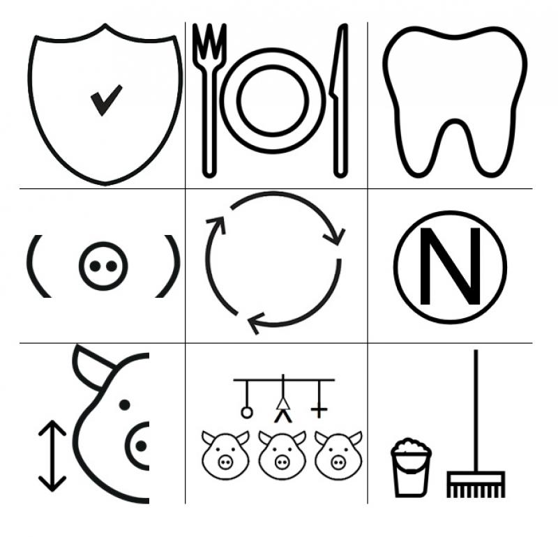 Figuur 1: De 9 criteria van de optimale hokverrijking (van boven tot onder en van links naar rechts): veilig, eetbaar, kauwbaar, wroetbaar, afbreekbaar, interessant, bereikbaar,  beschikbaar en hygiënisch.