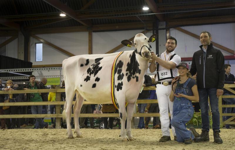 JK Eder Solomon Daryl werd kampioene bij de ongekalfde vaarzen.