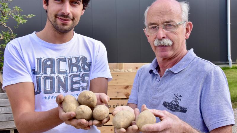 De met aardappelen bebouwde oppervlaktes zijn met 5,5% gestegen.