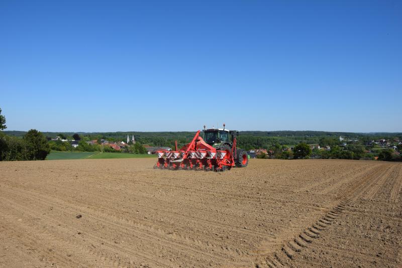 Het areaal korrelmaïs daalde met zo’n 9,5
% in 2019 ten opzichte van het jaar voordien.