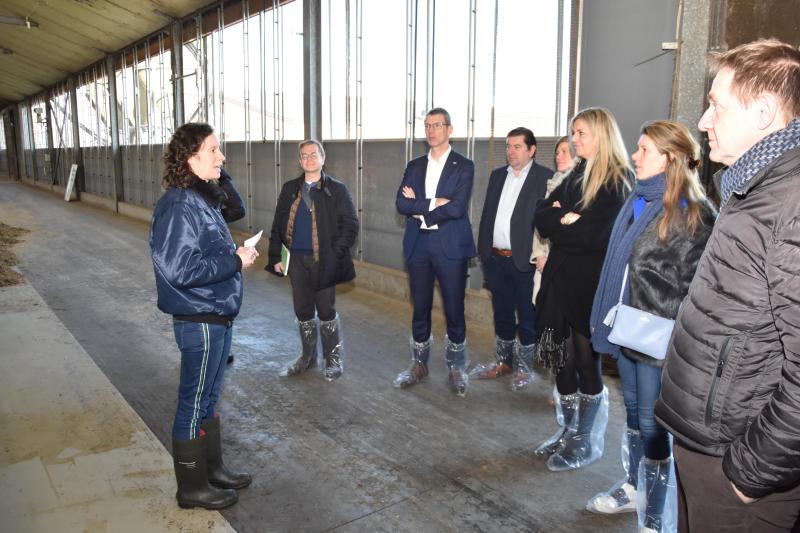 ILVO-onderzoeker Leen Van Daele gidst en geeft uitleg over een stal vol onderzoeksmogelijkheden met maatschappelijke relevantie.