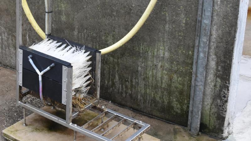 Op verschillende plaatsen op het bedrijf staan wasplaatsen voor laarzen.
