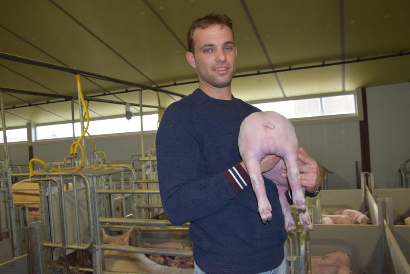 Schoonzoon Nick voert samen met Ingrid de meeste taken uit op het varkensbedrijf.  Doordat we leveren aan Colruyt hoeven we alvast niet meer te castreren.