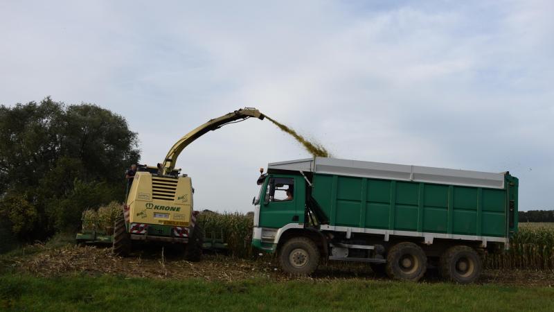 De vrachtwagen is bijzonder handig bij het hakselen van maïs omwille van zijn wendbaarheid en aandrijving op alle wielen.