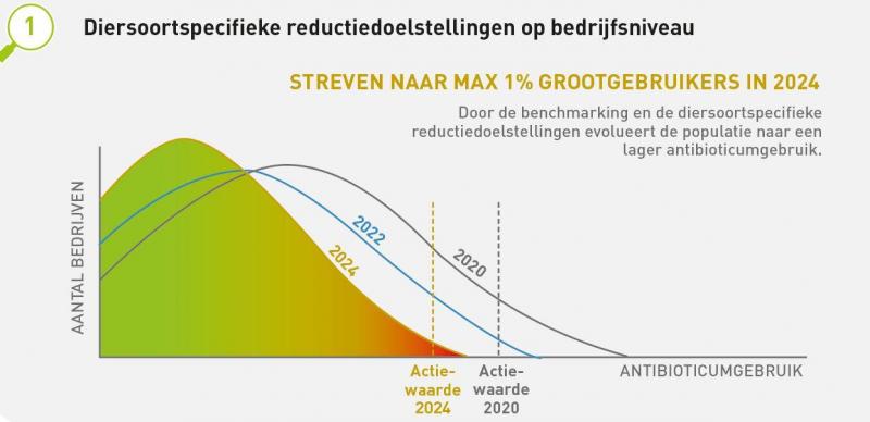 In de eerste reductiedoelstelling streeft Amcra naar diersoortspecifieke grenswaarden op bedrijfsniveau en maximaal 1% grootgebruikers tegen 2024.