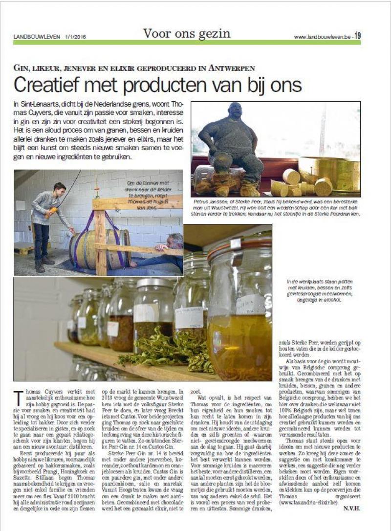 Onze redactie was al eens te gast bij  Thomas Cuyvers. Het garageproject van toen is nu stevig uitgegroeid.