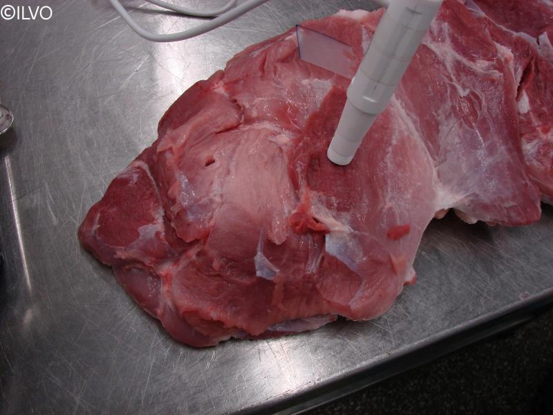 Onderzoekers deden na 24 uur een pH-meting op de verse ham.