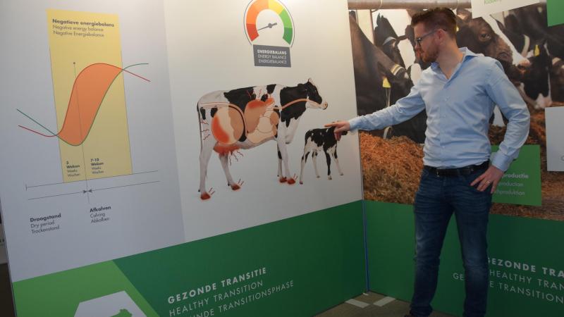 De koe vergt extra aandacht in de transitieperiode , aldus Wilco de Crom.