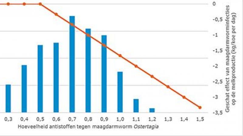 Figuur 1: Bij een melkkoe waarvan het tankmelkonderzoek voor maagdarmworm een waarde hoger dan 0,9 aantoont, wordt geschat dat ze dagelijks 1,3 kg minder melk produceert.