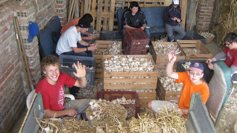 Jeroen Gantois en Sylvia Tilleman waren in 2008 op stage bij de familie Caminade in Cuq les Vielmur (F) en werkten in de bekende Ail Rose de Lautrec.