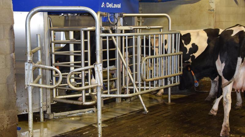 Bij de start van het schooljaar werd de melkrobot in gebruik genomen.