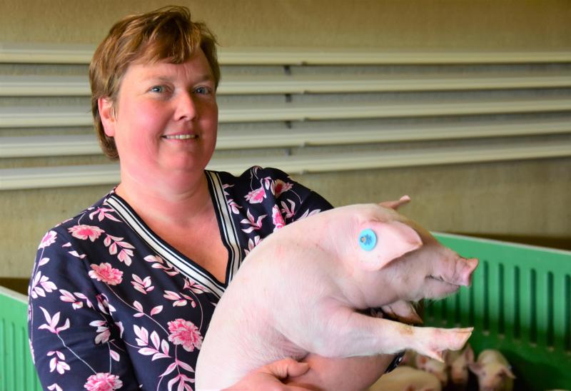 Cindy Rosseel werkt voornamelijk met de varkens op het gemengd bedrijf.