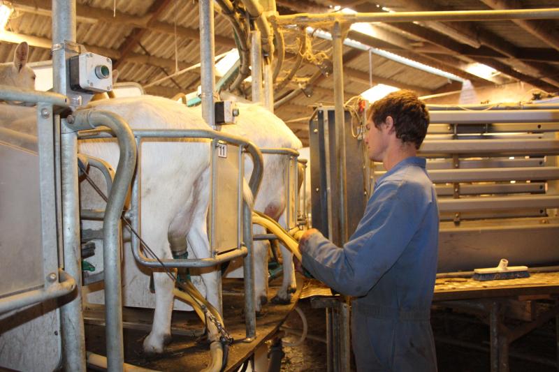 Voor de geitentak werd een melkcarrousel aangekocht.