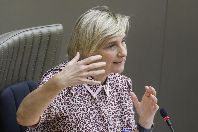 Hilde Crevits.