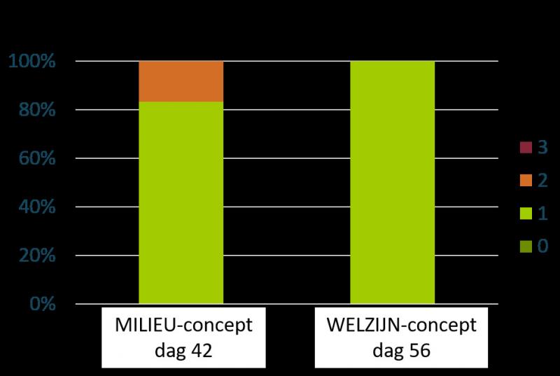 Strooiselscore (hoe hoger de score, hoe slechter het strooisel). Het WELZIJNs-concept heeft een betere strooiselkwaliteit op het einde van de ronde.