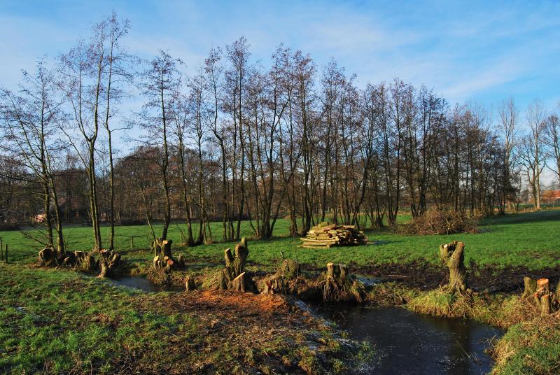 Houtsnippers zijn ideaal om het organische-stofgehalte in de bodem op lange termijn vele malen sneller te verhogen dan organische mest, teeltresten en zelfs compost.