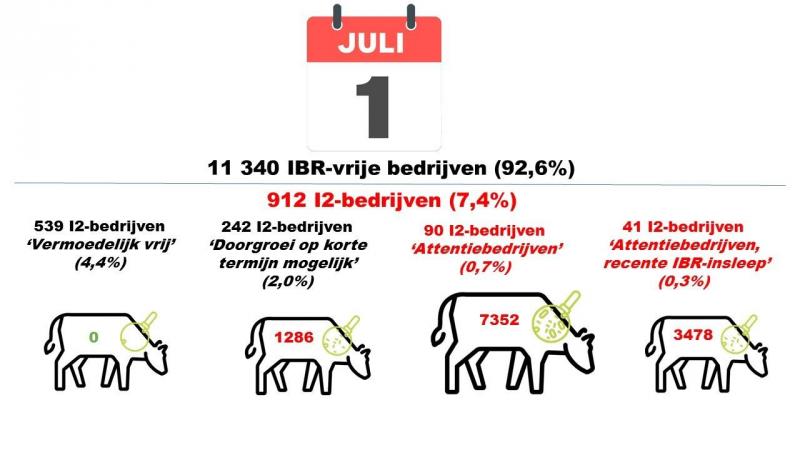 Stand van zaken op 1 juli van de I2-bedrijven.