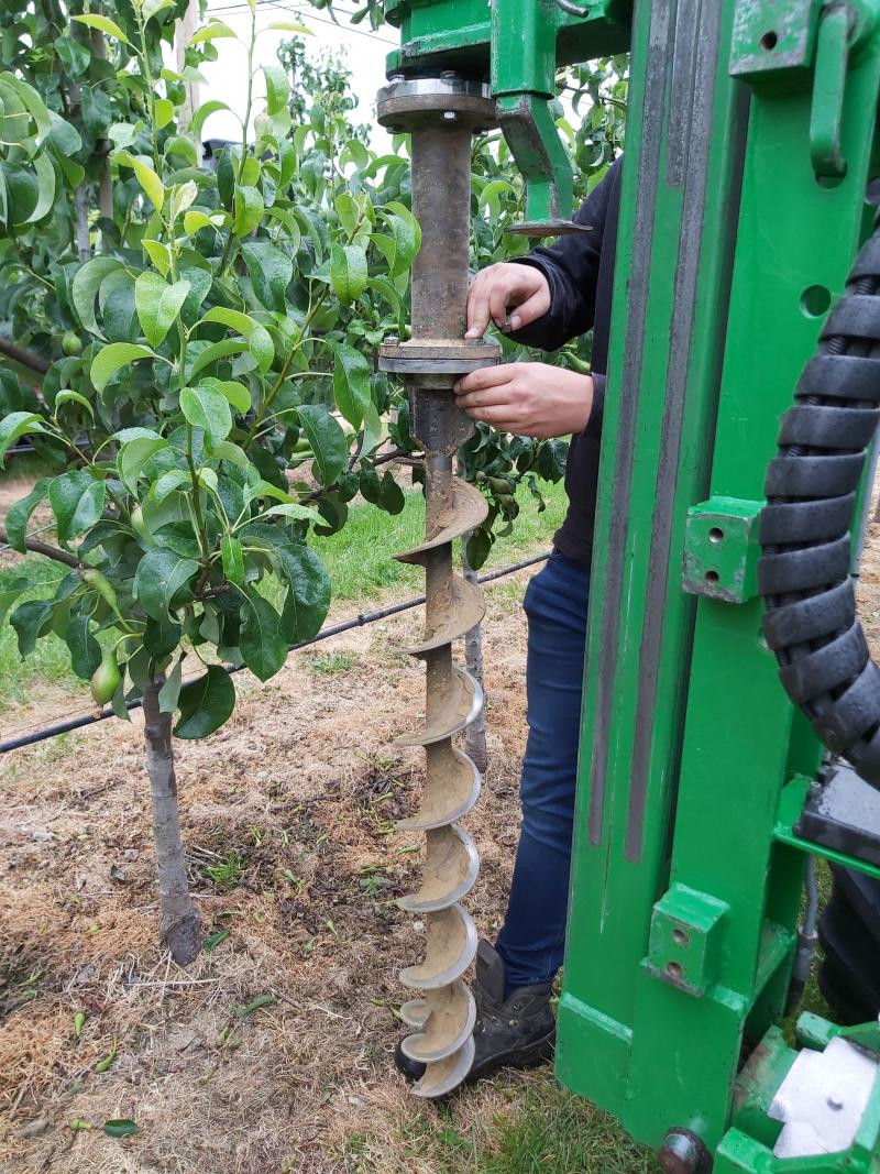 Heijen van palen voor de agrivoltaics constructie in de boomgaard van Jan Van Der Velpen.