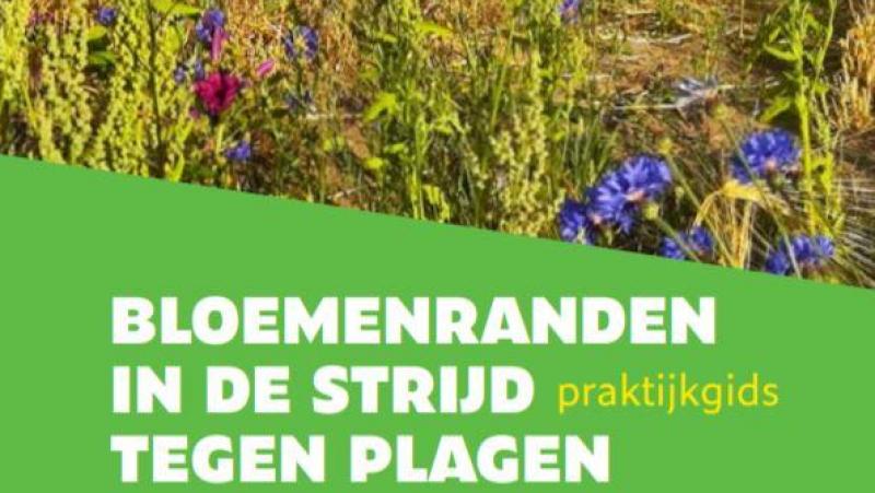 Met de informatie die in de praktijkgids gebundeld werd, kan je meteen aan de slag om een bloemenrand correct aan te leggen.