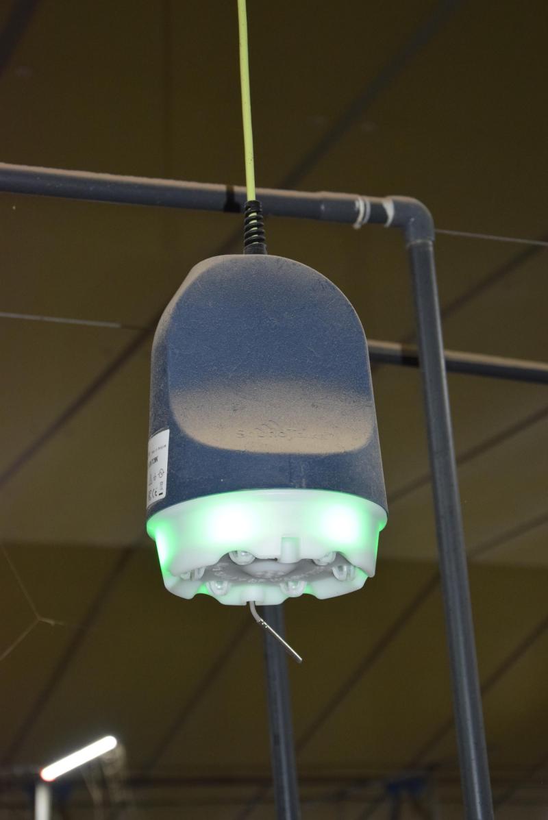 Per 250 vleesvarkens hangt een toestel van SoundTalks waarin 6 microfoons geïntegreerd zitten. De onderrand geeft naargelang de gezondheidstoestand van de dieren een lichtsignaal.