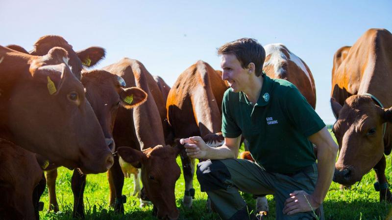 Arla wil een bedrijf zijn van en voor boeren, met bij elke beslissing de ambitie van de landbouwer centraal.