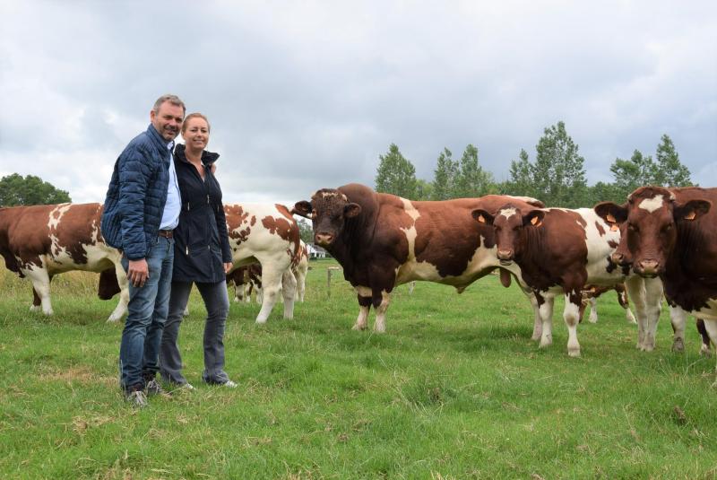 Jo Ally en Sophie Demerre staan helemaal achter hun keuze voor Maine Anjou.