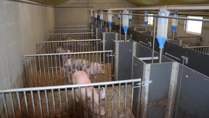 De nieuwe quarantainestal met 14 plaatsen is ook voorzien van overdrukventilatie en virusfiltratie.