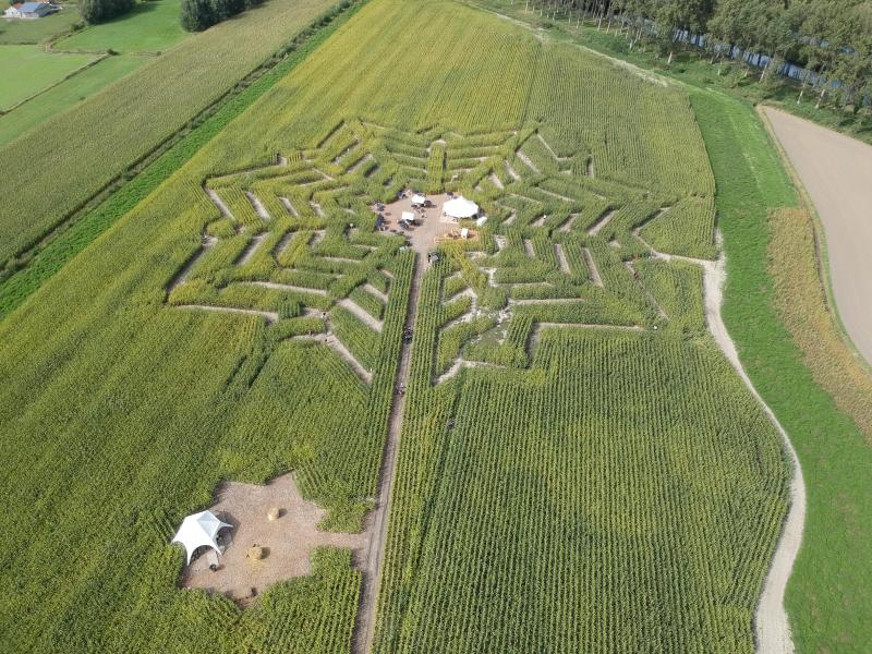 Luchtbeeld van het maïsdoolhof in 2020.