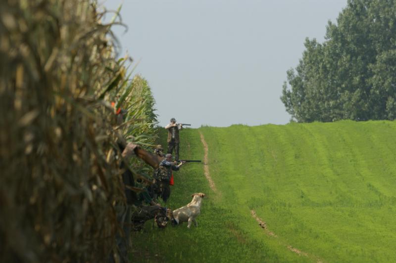 Er is een grote interactie tussen landbouwers en jagers, want ze zijn op hetzelfde gebied actief.