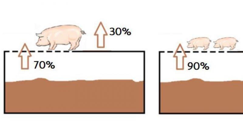 Figuur 1: Aangenomen aandeel emissie uit kelder en vloer bij varkens