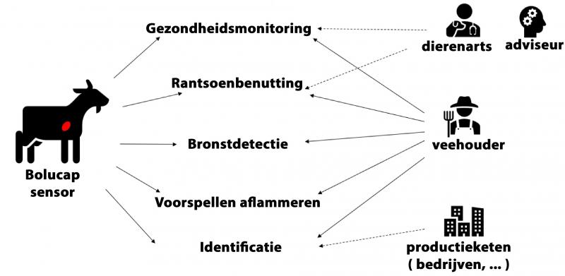 Figuur 1: Schematische benadering van mogelijke functies van de Bolucap met de verschillende actoren die hier op kunnen ingrijpen (dr. Kristine Piccard, 2020)