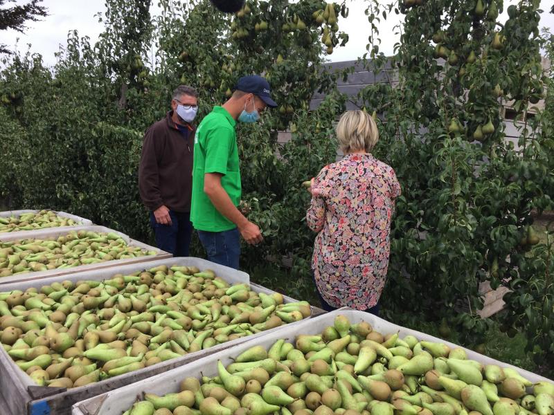 De perentelers kenden een sterk jaar 2020.
