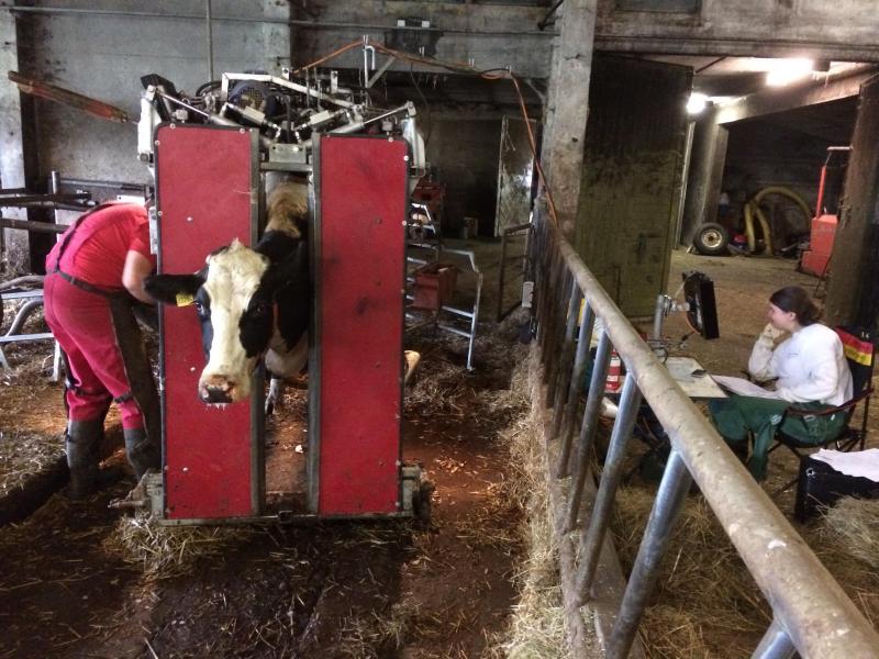 Regelmatige klauwverzorging met registratie van de gegevens is noodzakelijk voor een goede klauwgezondheid. Pas wanneer dat volledig op punt staat, kan overwogen worden om voedingssupplementen te verstrekken voor een verdere optimalisatie.